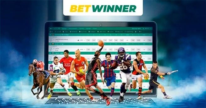 BetWinner Customer Support System Assistance at Your Fingertips